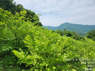 안계천님의 🎉상반기 결산 자랑하기 · 참여글 작성글 사진
