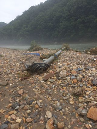 계룡남님의 자유주제 · 자유게시판 작성글 사진