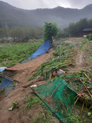 계룡남님의 자유주제 · 자유게시판 작성글 사진