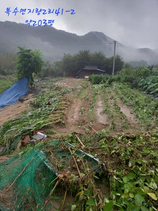 계룡남님의 자유주제 · 자유게시판 작성글 사진