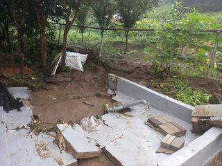 계룡남님의 자유주제 · 자유게시판 작성글 사진