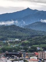 팜모닝 자유주제·자유게시판 게시글 이미지