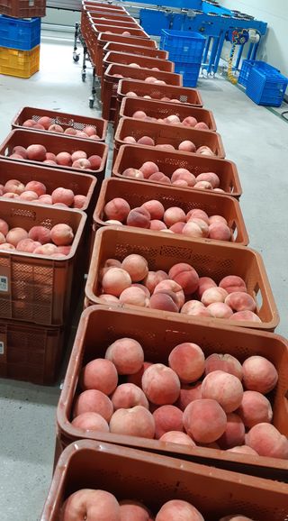 황덕순 님의 작성글 사진