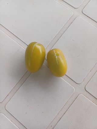 윤무섭님의 자유주제 · 자유게시판 작성글 사진