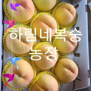 하림네복숭아 농장님의 작성글 사진