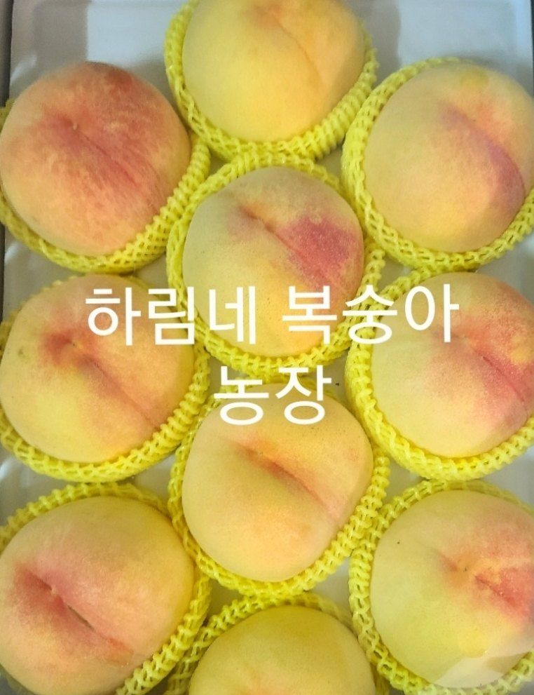 하림네복숭아 농장님의 장터 판매 상품 [아삭이 백도. 황도 복숭아 4kg 기준] 첨부 사진