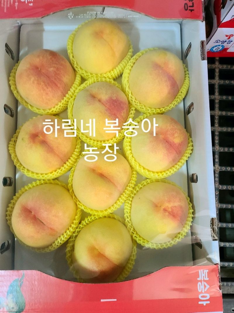 하림네복숭아 농장님의 장터 판매 상품 [아삭이 백도. 황도 복숭아 4kg 기준] 첨부 사진
