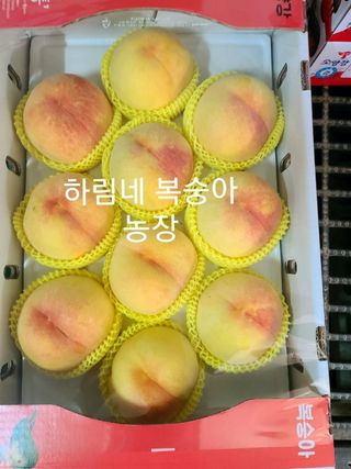 하림네복숭아 농장님의 작성글 사진