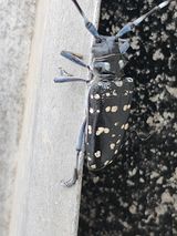 팜모닝 자유주제·사진전 게시글 이미지