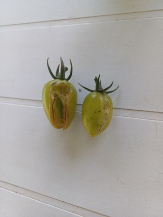 윤무섭님의 자유주제 · 자유게시판 작성글 사진