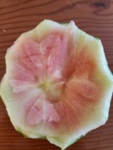 팜모닝 자유주제·자유게시판 게시글 이미지