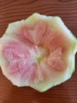 황금송2002님의 자유주제 · 사진전 작성글 사진