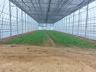 류우림님의 자유주제 · 자유게시판 작성글 사진