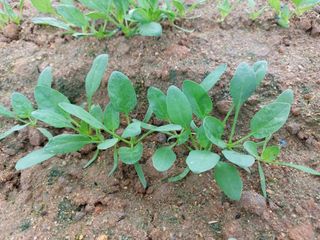 류우림님의 자유주제 · 자유게시판 작성글 사진