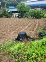 팜모닝 들깨·영농일지 게시글 이미지