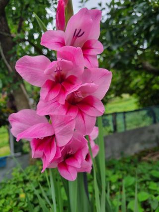 김선두님의 자유주제 · 자유게시판 작성글 사진