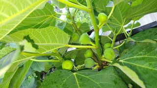 허종복님의 🎉상반기 결산 자랑하기 · 참여글 작성글 사진