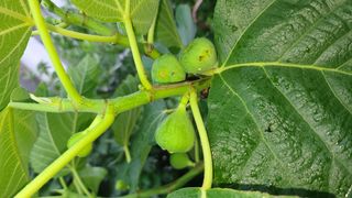 허종복님의 🎉상반기 결산 자랑하기 · 참여글 작성글 사진