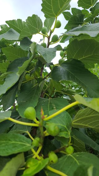 허종복님의 🎉상반기 결산 자랑하기 · 참여글 작성글 사진