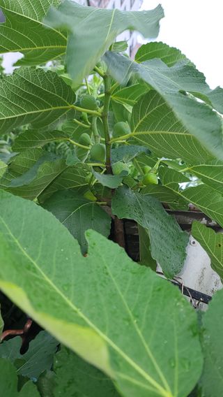 허종복님의 🎉상반기 결산 자랑하기 · 참여글 작성글 사진