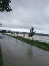 팜모닝 농사, 무엇이든 물어보세요!·참여글 게시글 이미지