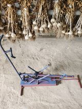 팜모닝 🎉상반기 결산 자랑하기·참여글 게시글 이미지