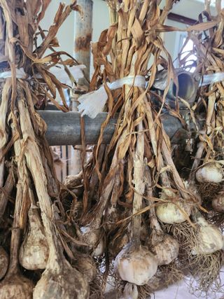 중간말님의 🎉상반기 결산 자랑하기 · 참여글 작성글 사진