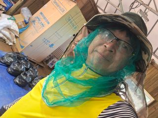 홍성덕님의 옥수수 · 영농일지 작성글 사진