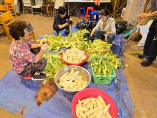 홍성덕님의 옥수수 · 영농일지 작성글 사진