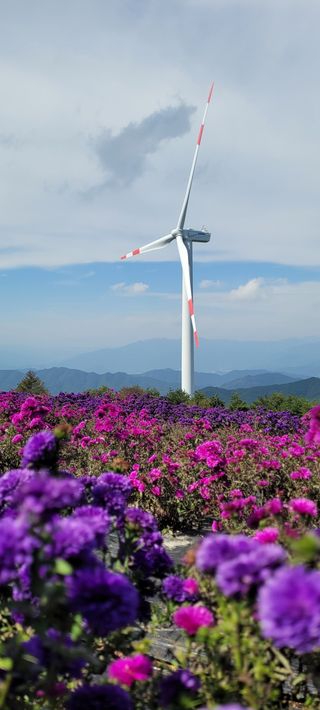소와나무꾼님의 팜모닝 · 출석 작성글 사진
