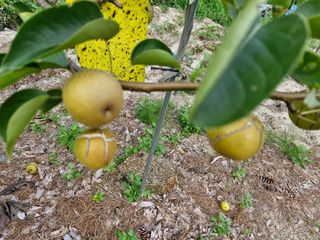 당근한개님의 자유주제 · 자유게시판 작성글 사진