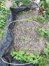 팜모닝 🎉상반기 결산 자랑하기·참여글 게시글 이미지