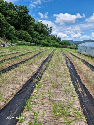 연상수님의 자유주제 · 자유게시판 작성글 사진