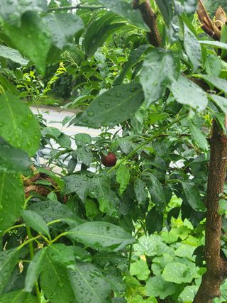 임애자님의 자유주제 · 자유게시판 작성글 사진