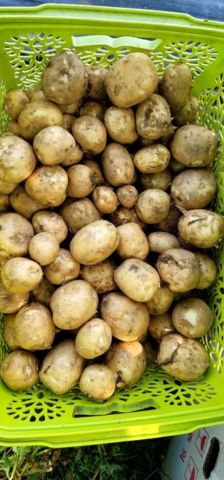 범이님의 🎉상반기 결산 자랑하기 · 참여글 작성글 사진