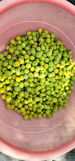 범이님의 🎉상반기 결산 자랑하기 · 참여글 작성글 사진