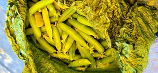 범이님의 🎉상반기 결산 자랑하기 · 참여글 작성글 사진