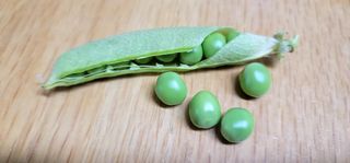 범이님의 🎉상반기 결산 자랑하기 · 참여글 작성글 사진