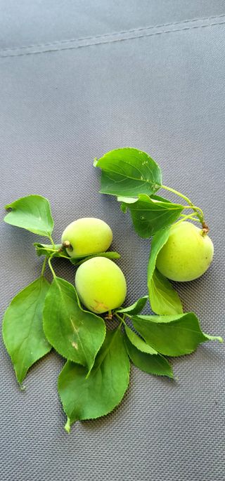 범이님의 🎉상반기 결산 자랑하기 · 참여글 작성글 사진