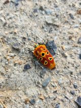 팜모닝 자유주제·자유게시판 게시글 이미지