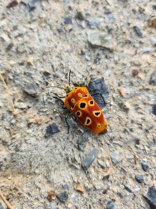 감자27245님의 자유주제 · 자유게시판 작성글 사진