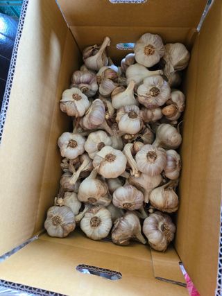 무안정농장님의 작성글 사진