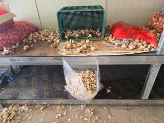 무안정농장님의 작성글 사진