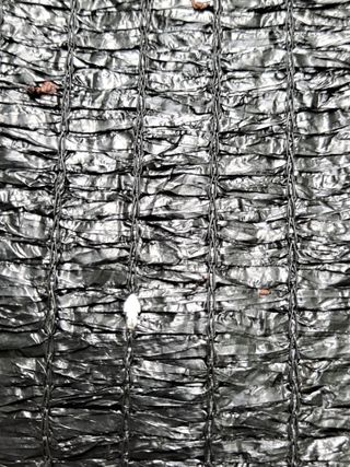 은화주농원맥반석포도님의 기타작물 · 병해충상담 작성글 사진