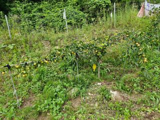 당근한개님의 자유주제 · 자유게시판 작성글 사진
