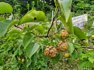 당근한개님의 자유주제 · 자유게시판 작성글 사진