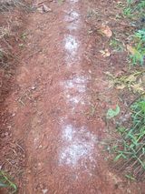 팜모닝 자유주제·자유게시판 게시글 이미지