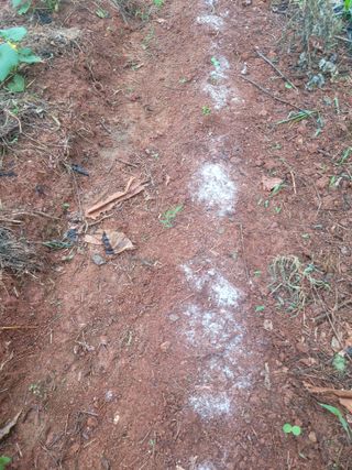 이원우님의 자유주제 · 자유게시판 작성글 사진