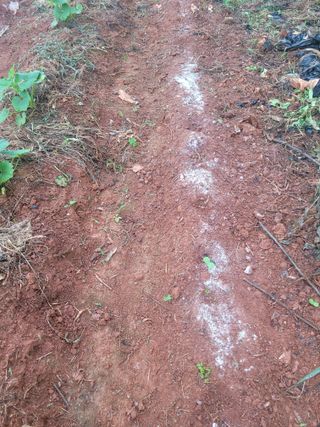 이원우님의 자유주제 · 자유게시판 작성글 사진