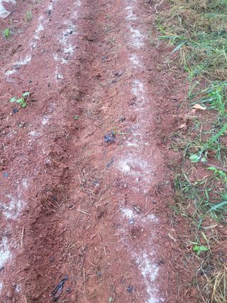 이원우님의 자유주제 · 자유게시판 작성글 사진